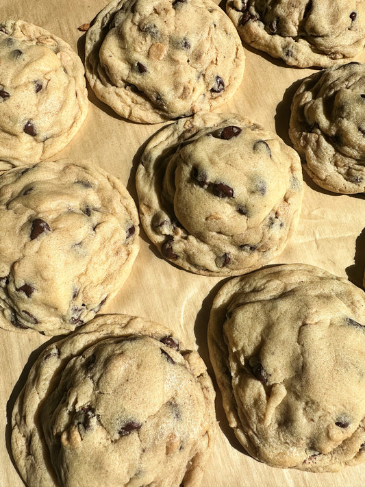 Chocolate chip cookie